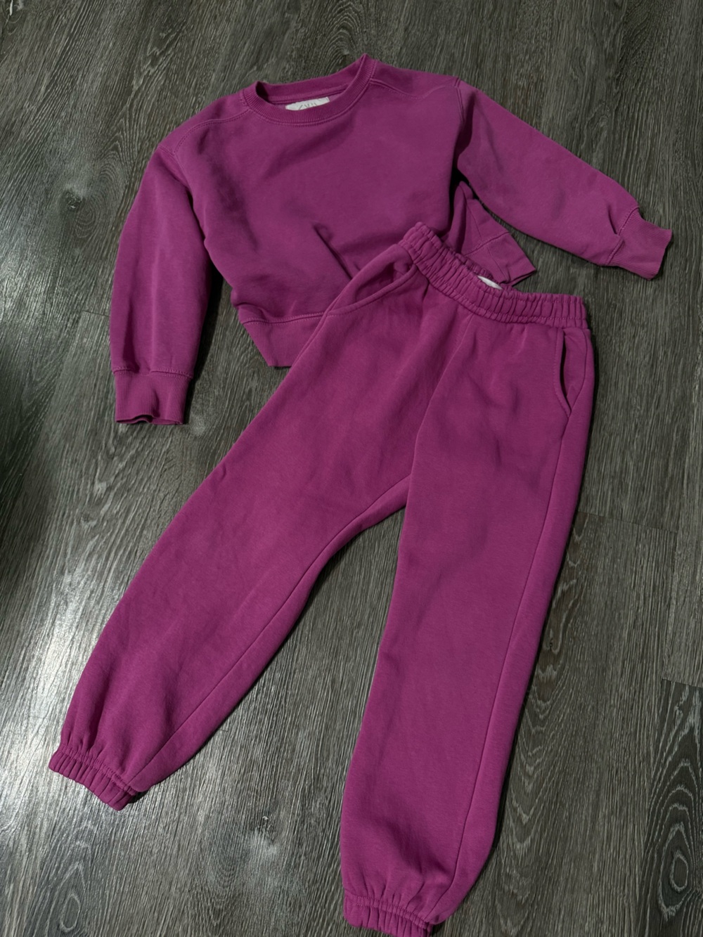 Zara Kids Plum Magenta Sweatshirt and Joggers Set